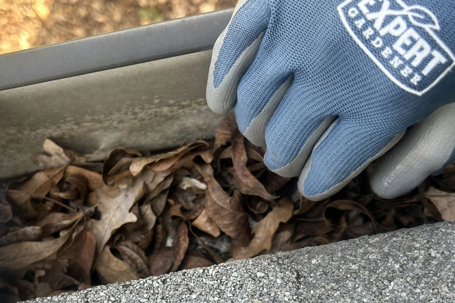 Draper Gutter Cleaning