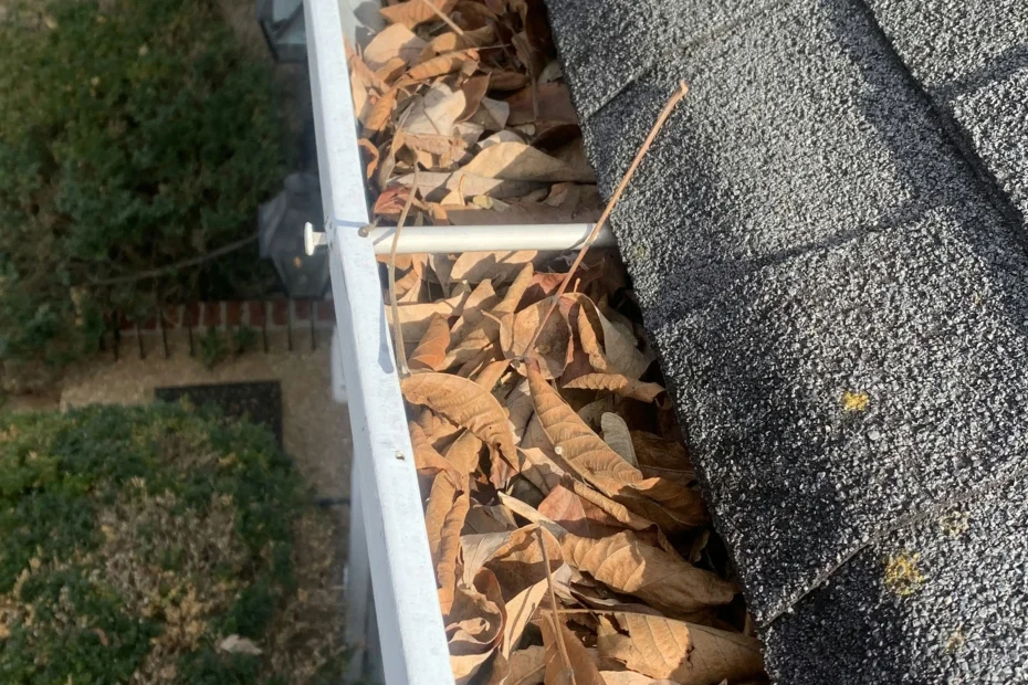 Draper Gutter Cleaning
